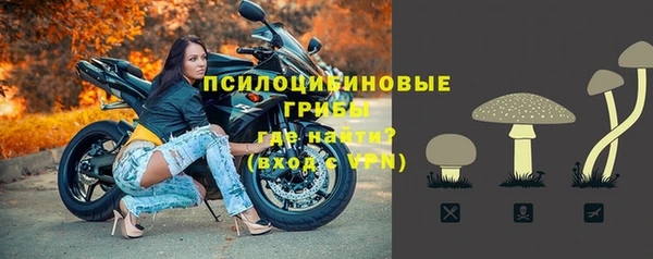 apvp Алексеевка